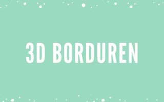 Workshop 3D borduren - 19 november 2026